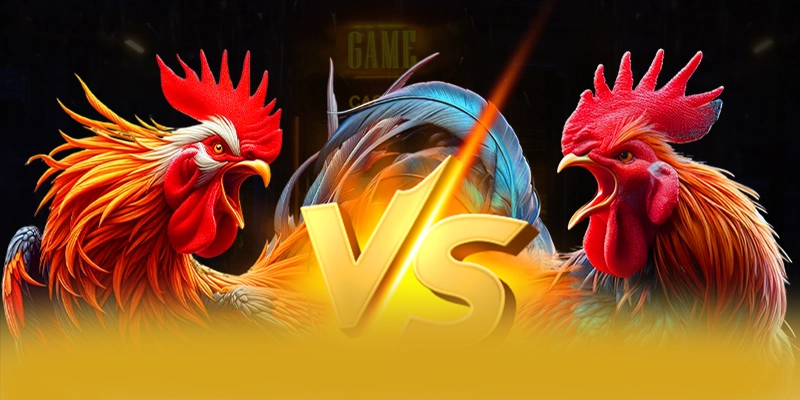 BET88 - Đánh giá tổng thể với góc nhìn khách quan. BET88 - Đánh giá tổng thể với góc nhìn khách quan.