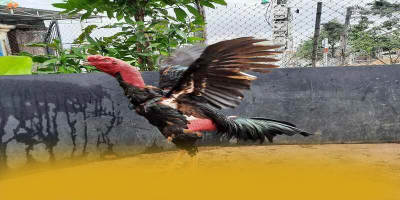 FB88 - Trang game được game thủ yêu thích 2026 FB88 - Trang game được game thủ yêu thích 2026