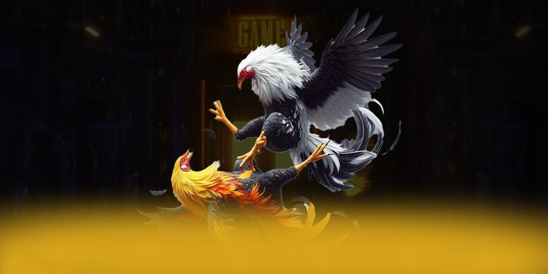 Đánh giá 8XBET - Cổng game uy tín số 1 hiện nay Đánh giá 8XBET - Cổng game uy tín số 1 hiện nay