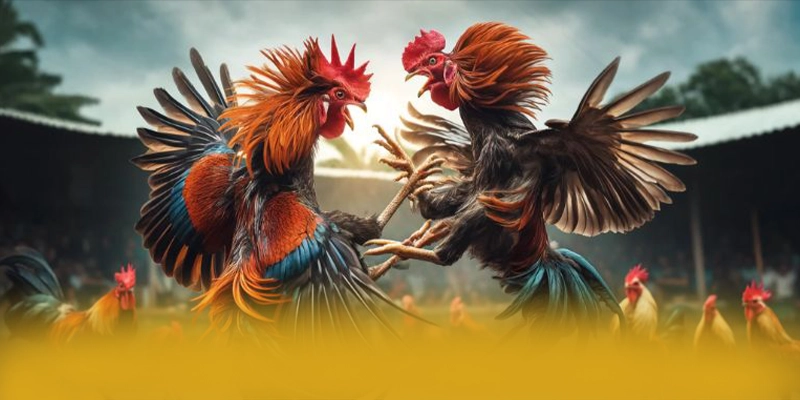 Chương trình thưởng khủng dành cho cộng đồng tại SUNWIN