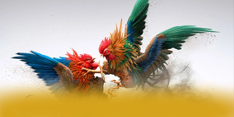 An toàn thông tin người dùng tại SUNWIN